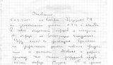 Карусельщики «за Путина» требуют наказать тех, кто называет их фальсификаторами. ФОТОрепортаж