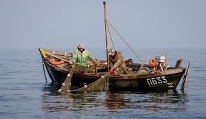 Рада одобрила повышение штрафов за нарушение правил рыболовства в 20 раз