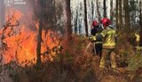 ДСНС України допомогла Франції зупинити поширення лісової пожежі. ФОТОрепортаж