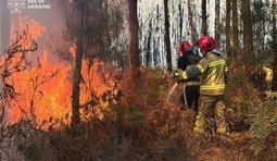 Ліквідація пожежі у Франції українськми ДСНС