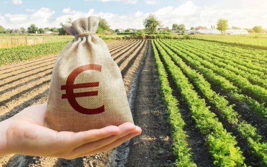 Кабмін оновив грантові програми для агросектору: що змінилося?