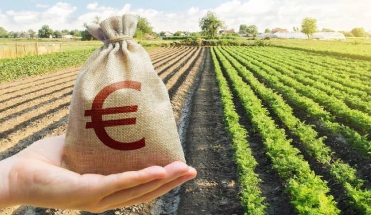 Кабмін оновив грантові програми для агросектору: що змінилося?