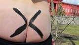Две Ж FEMENисток против "сук", что "режут по Живому". ФОТОрепортаж