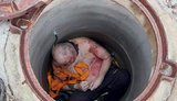 труп,буча