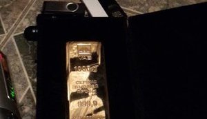 У Бережной при обыске нашли килограммовый слиток золота и письмо к Лаврову, - СБУ. ФОТОрепортаж