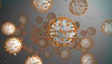 Ukraine reports 1,247 new coronavirus cases