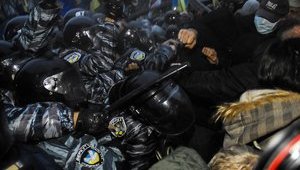 кабмин беркут драка