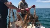 У 2018 році у браконьєрів вилучили майже 300 човнів і понад 100 тонн риби на 41 млн гривень, - Князєв. ВIДЕО