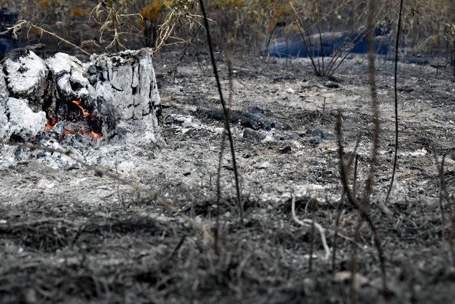 Shells detonate in occupied Donbas, fire reaches Ukrainian positions 16