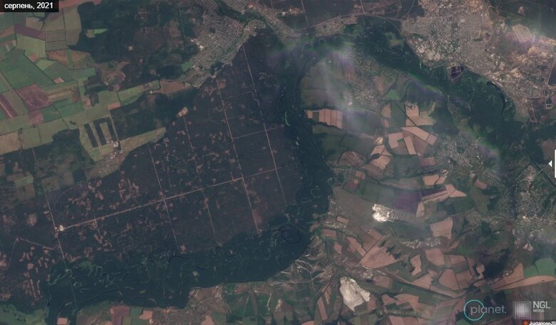 Кремінське лісомисливське господарство