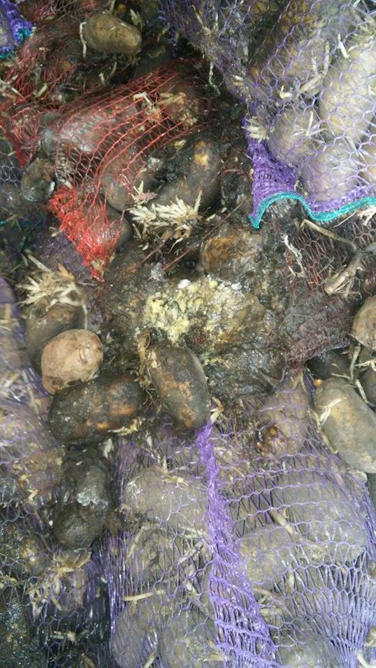 армия еда картошка питание