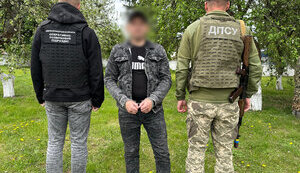 Зґвалтував неповнолітню: на Житомирщині у потязі затримано чоловіка, який перебував у розшуку, - ДПСУ. ФОТО