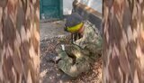 росіянин,полонений