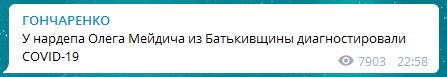 Нардеп Батьківщини Мейдич захворів на COVID-19, - Гончаренко 01