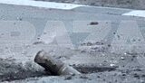 область,шебекіно,бєлгородська