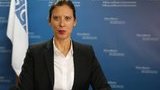 Новый заместитель председателя Специальной мониторинговой миссии ОБСЕ Гравэ начала работу в Украине. ФОТО