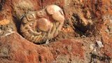 полтавщина золото археология раскопки скифы бельск