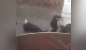 Двум участникам стрельбы в Мукачево сообщили о подозрении
