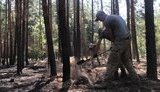 Сто прикордонників зі складу ООС беруть участь у ліквідації вогнищ тління після пожежі на Луганщині, - МВС. ФОТО