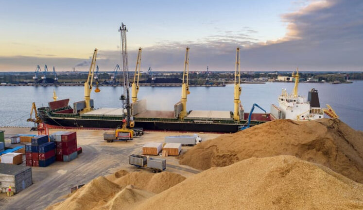 Russia has restricted registration of ships under "grain deal" due to situation with ammonia exports - UN