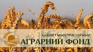 Кабмин исключил из перечня приватизации ГПЗКУ и