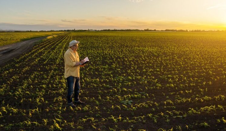 В Україні частково відновили позапланові перевірки земель: перелік підстав для здійснення нагляду