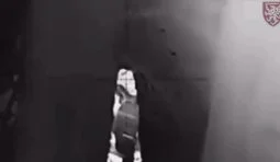 A paratrooper from the 80th Brigade eliminated an occupier with a single shot to the head in the Sumy direction.