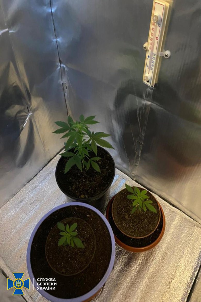 Торговец наркотиками предлагал сотруднику СБУ крышевать его бизнес в Мариуполе 06 Торговец наркотиками предлагал сотруднику СБУ крышевать его бизнес в Мариуполе 06