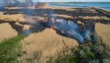 "Знищують всіх комах і птахів, живцем спалюють потомство зайців, їжаків і лисиць". Пожежа, спричинена підпалом сухостою, з висоти пташиного польоту. ВІДЕО+ФОТОрепортаж