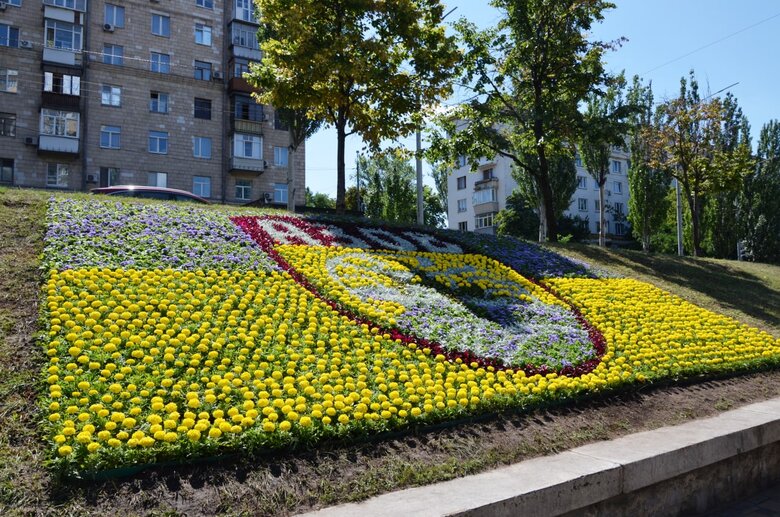 В Киеве создали цветочное панно в честь Азова 04
