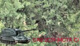 сау
