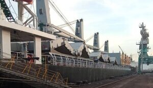 експорт,продовольство