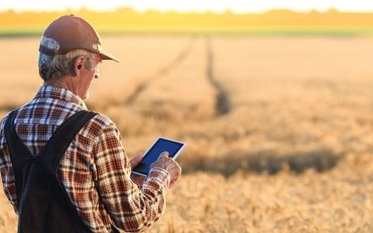 В Україні понад 80% агрокомпаній за пів року підвищили зарплати. ІНФОГРАФІКА
