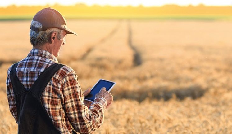 Фермерам України розширили доступ до фінансових гарантій, ‒ Мінекономіки