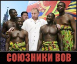 Союзники