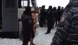 беркут