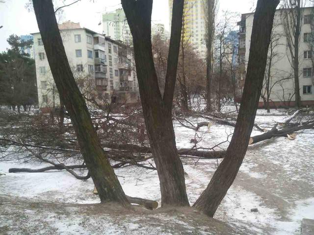 застройка