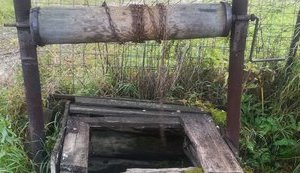 У покинутому колодязі на околиці села на Одещині знайшли чотири трупи