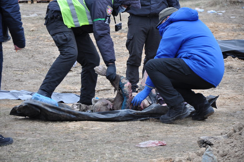 В Бучі ексгумують з братської могили тіла вбитих росіянами мирних жителів: Майже всі з вогнепальними пораненнями, деякі із завязаними руками та ногами 26