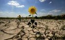 Проблемы из-за изменения климата угрожают центральной Украине, – Минагрополитики
