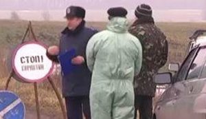 Африканская чума пришла из России. Луганские селяне массово вырезают свиней. ВИДЕО