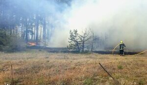 Пожежі на Харківщині: У лісі детонують російські боєприпаси, вогонь дістався будинків, готується евакуація мешканців