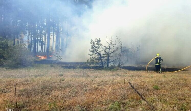 Пожежі на Харківщині: У лісі детонують російські боєприпаси, вогонь дістався будинків, готується евакуація мешканців
