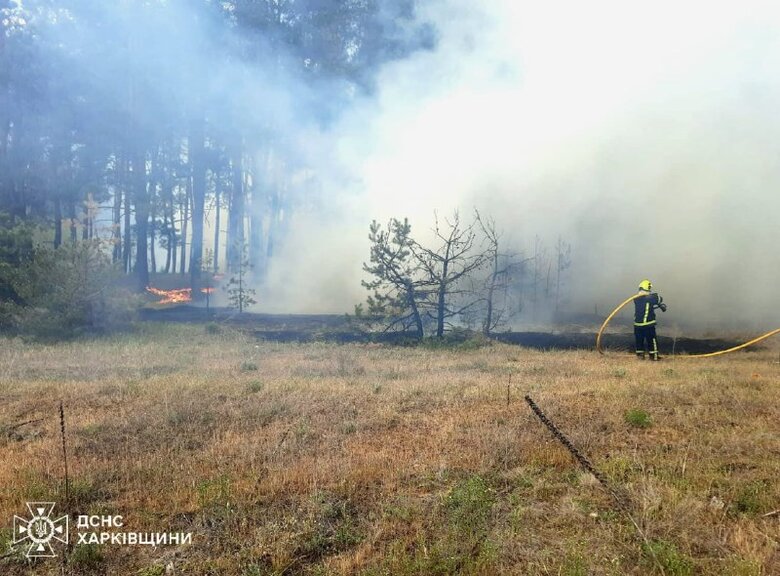 пожежі на Харківщині