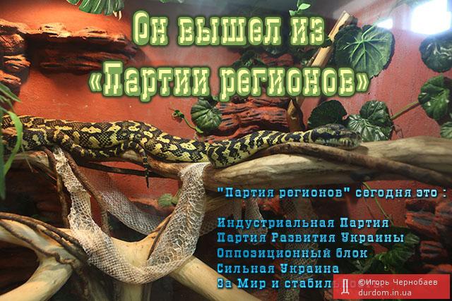 Они вышли из партии регионов