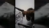 бій