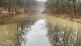 закарпаття,підтоплення