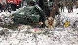ДТП возле Яворовского полигона: пострадали 13 военнослужащих, 8 из них госпитализированы