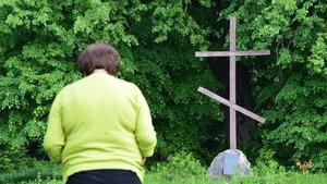 Які проблеми найбільше турбують дружин та матерів воїнів АТО/ООС?