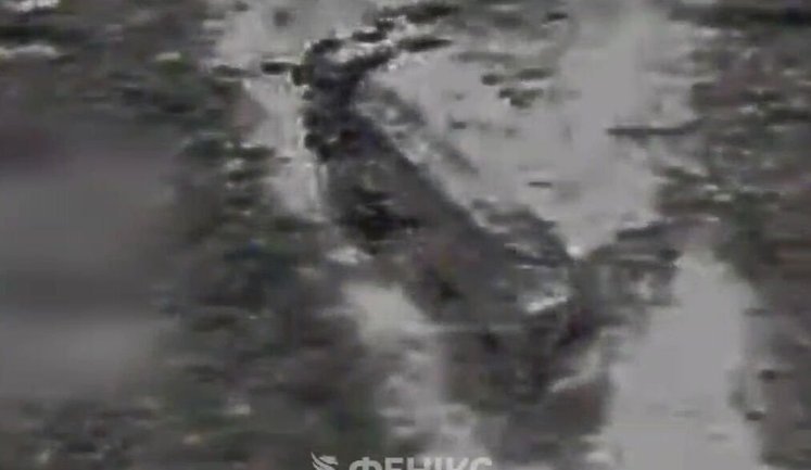 Пилот подразделения "Феникс" FPV-дроном поразил грузовик с оккупантами на рекордном расстоянии в 103 километра. ВИДЕО